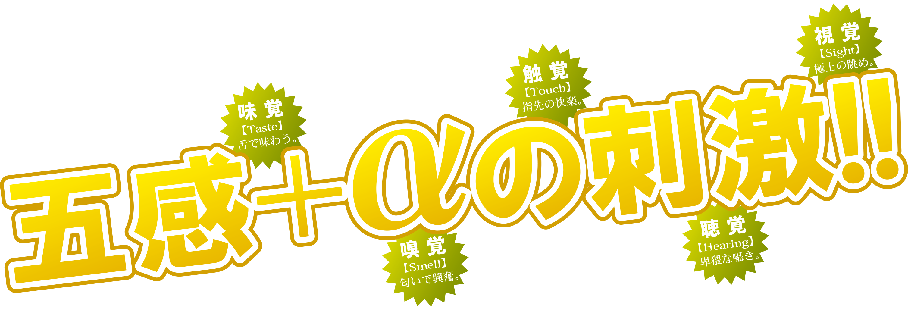 五感+αの刺激