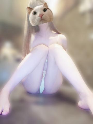 リエ秘書