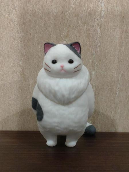 ココア秘書
