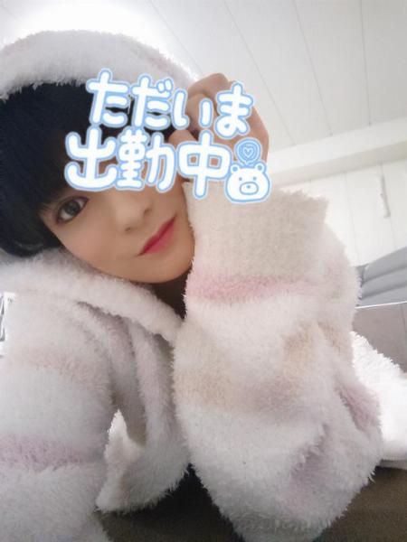ココア秘書