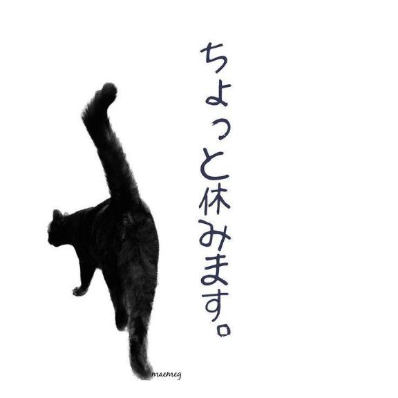 ココア秘書