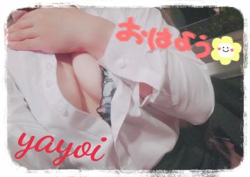 ヤヨイ秘書