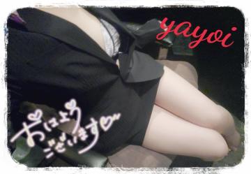 ヤヨイ秘書
